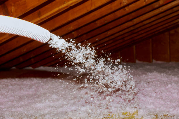 Types of Insulation We Offer in Lecanto, FL