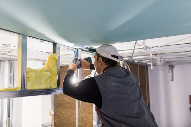 Best Insulation Maintenance and Repair in Lecanto, FL