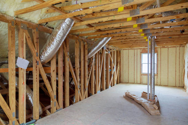 Best Eco-Friendly Insulation in Lecanto, FL