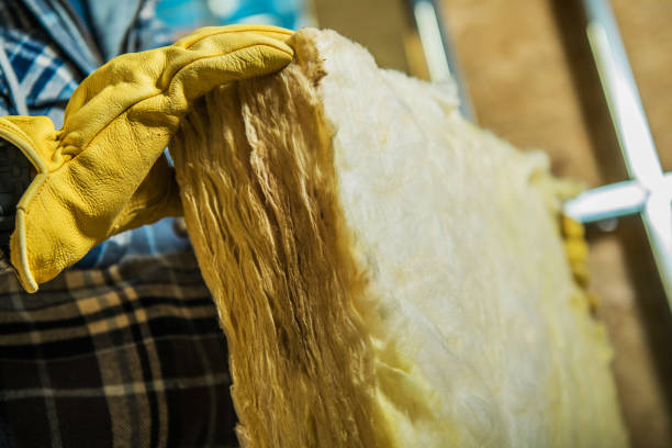 Best Eco-Friendly Insulation in Lecanto, FL